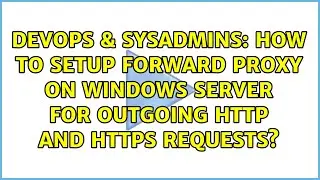 How to setup forward proxy on Windows server for outgoing HTTP and HTTPS requests?