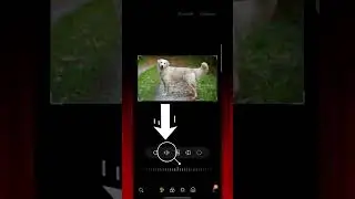Como Voltear una foto fácil y rápido