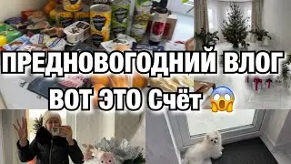 ПРЕДНОВОГОДНИЙ ВЛОГ!! ВОТ ЭТО СЧЕТ ЗА ЭЛЕКТРИЧЕСТВО!! Будни Мамы Влог