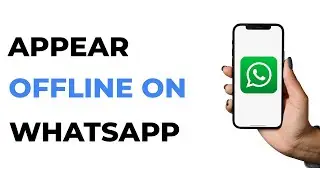 How to appear offline on WhatsApp in 2024