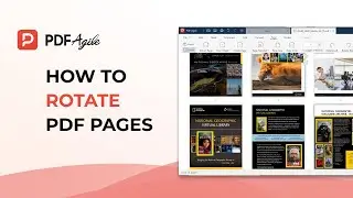 How  to Rotate PDF Pages and Save on Windows
