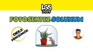 Fotosentez ve Solunum / 8.Sınıf