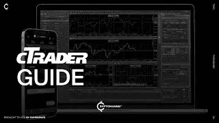 Гайд по использованию торгового терминала сTrader