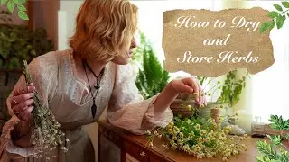 How to Dry and Store Herbs