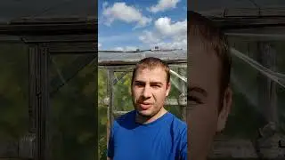 selskie_zaboti