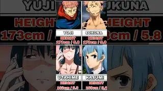 Height Of Jujutsu Kaisen Character 