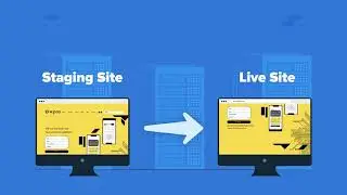 How to Create a Staging Website