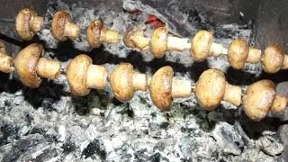 Шашлык из шампиньонов Готовим шампиньоны Шампиньоны на углях