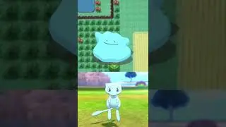Did you know Mew and Ditto are the same Pokemon?  