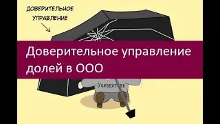 Доверительное управление долей в ООО