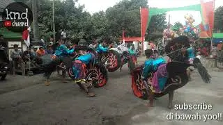 rampok celeng turonggo budoyo lokasi mangunan tgl 14 08 2019