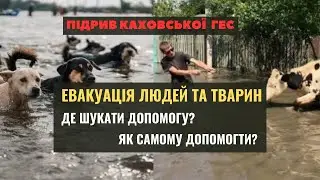 ХЕРСОН | ЕВАКУАЦІЯ людей та тварин | ДЕ ШУКАТИ ДОПОМОГУ та ЯК ДОПОМОГТИ? #херсон