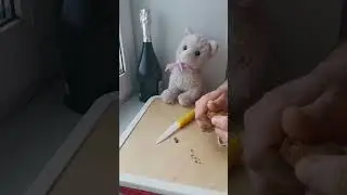 Как закрыть бутылку с шампанским🎄