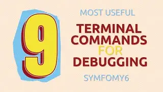 TOP 9 terminal commands for Debugging Symfony 6 App