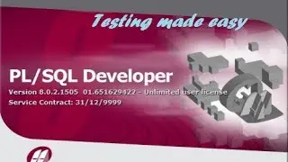 How to unit test a function using Test Script in PLSQL Developer