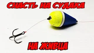 снасть на судака на живца