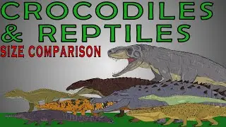 Prehistoric Reptiles Size Comparison (Crocodiles, Alligators, Crocodylomorphs)