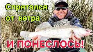 Рыбалка на джиг осенью. Хроника одной рыбалки