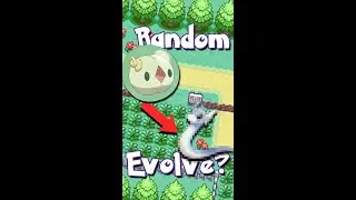 Who's that evolution?!