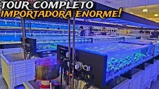 TOUR COMPLETO NUMA IMPORTADORA DE PEIXES, CORAIS E PRODUTOS DE AQUARISMO!