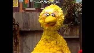 Classic Sesame Street - Elmo and Big Bird 