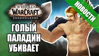 Отмена BlizzCon и много голых паладинов | Новости Warcraft