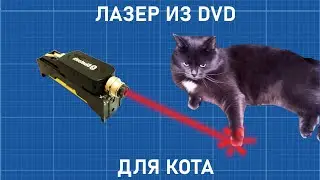 ✅⚡ КАК СДЕЛАТЬ ЛАЗЕР ДЛЯ КОШКИ СВОИМИ РУКАМИ [DIY]