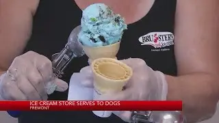 Fremont ice cream shop serves to dogs