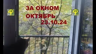 Осенняя пора очей очарованье...