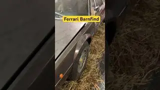 Ferrari Barnfind 