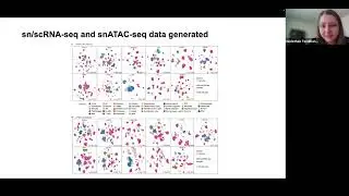 [Nadezhda Terekhanova] Epigenetic regulation during cancer transitions across 11 tumour types