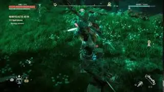 Horizon Zero Dawn™_20170325112225