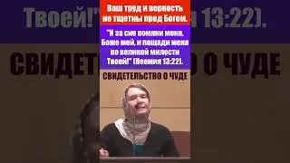 Свидетельство о чуде / ваш труд и верность не тщетны пред Богом / Нина Середич