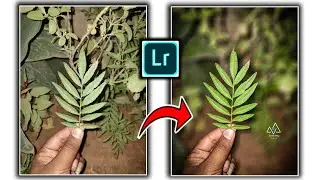 How to edit Mobile photos in Lightroom || How to blur background in Lightroom cc Mobile