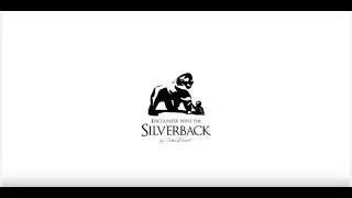 Silverback Suha Derbent BackStage Ruanda