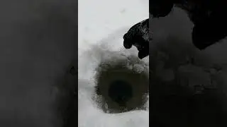 МОЯ ДОСАДНАЯ ОШИБКА(!Всегда берите багор с собой 