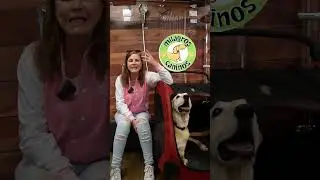 Dinámica de DONACIÓN 🐾con El Surtidor Conoce todas las formas en las que puedes ayudar