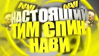 НАСТОЯЩИЙ ТИМ СПИК НАВИ - CS:GO