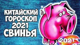 Свинья Кабан🐷 Китайский Гороскоп на 2021 год Быка