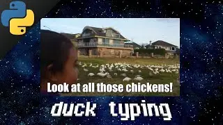 Python duck typing 🦆