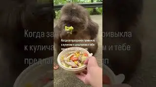 #многодетнаясемья