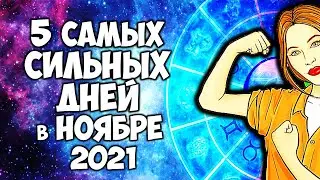 5 Самых Сильных Дней в Ноябре 2021 года