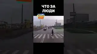 Борзота пешеходная                