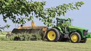 Big time hay alfalfa raking with a John Deere 8220 tractor and Oxbo hay belt merger raker