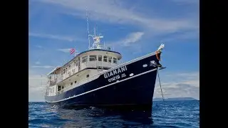 MV Giamani video: Similan Islands and Burma Diving Myanmar manta ray, sharks, turtle