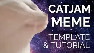 How to Make the Cat Vibing Meme (CatJam Green Screen Meme Template)