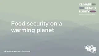 Food security on a warming planet