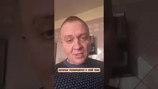 Обращение к анти-Тайгану и зоозащитникам 