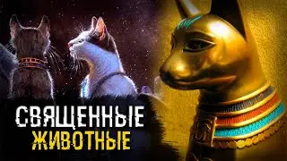 Правда ли, что за убийство кошки в Древнем Египте приговаривали к казни