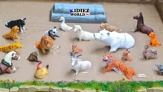 Get Ready for the WILDEST Mud Party with Farm Animals and Wild Beasts